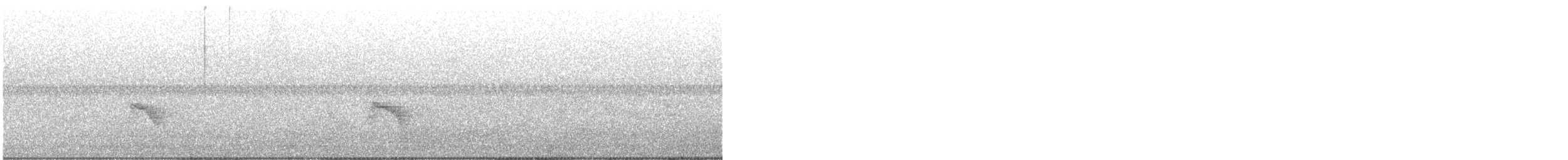 Дрізд-короткодзьоб малий - ML609247281