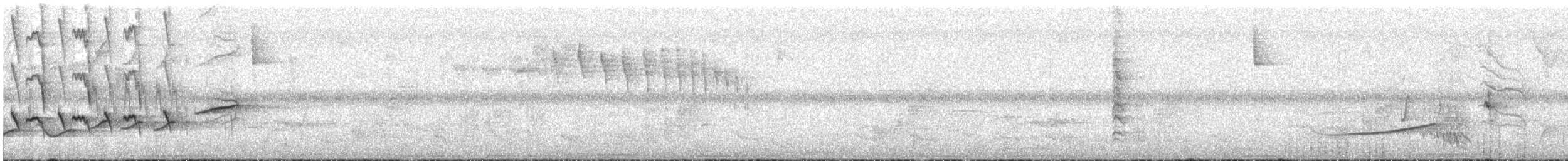 Cryptic Becard - ML609248239