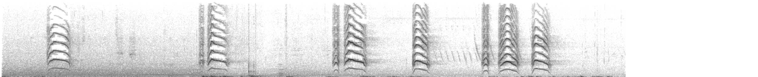 Großschnabel-Seeschwalbe - ML609250737