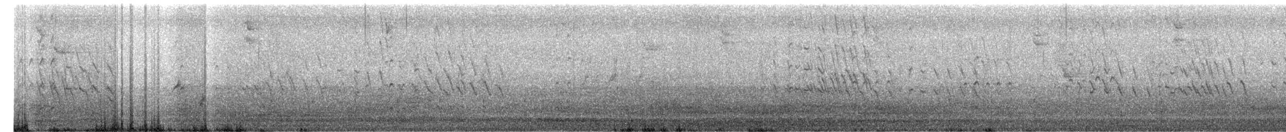 Kara Karınlı Islıkçı Ördek - ML609251861