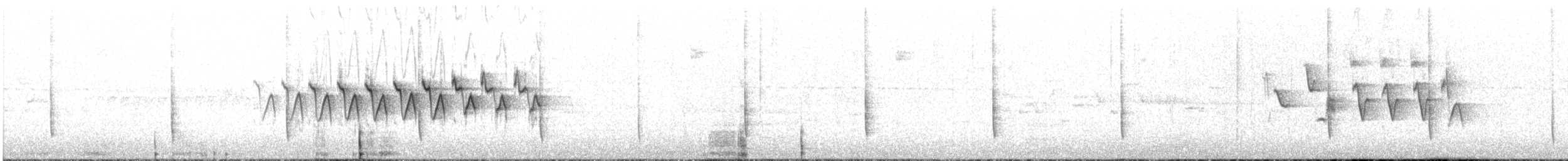 Миртовый певун (coronata) - ML60925461