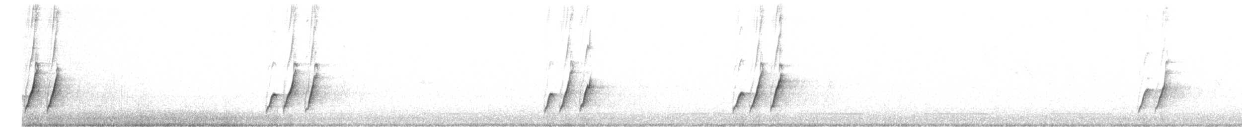 Curve-billed Thrasher (palmeri Group) - ML609254673