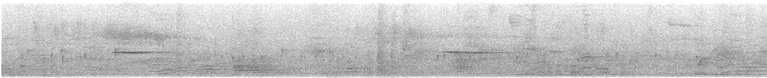 Java Sparrow - ML609258611
