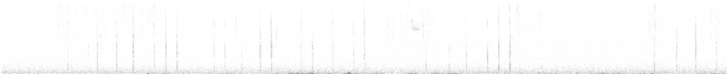 セジロコゲラ（pubescens／medianus） - ML609260810