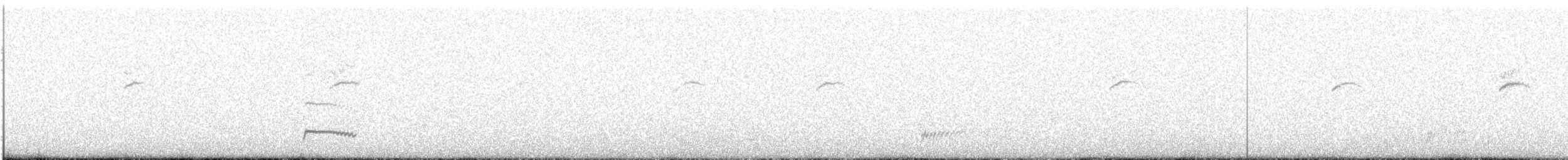 Mornellregenpfeifer - ML609261695