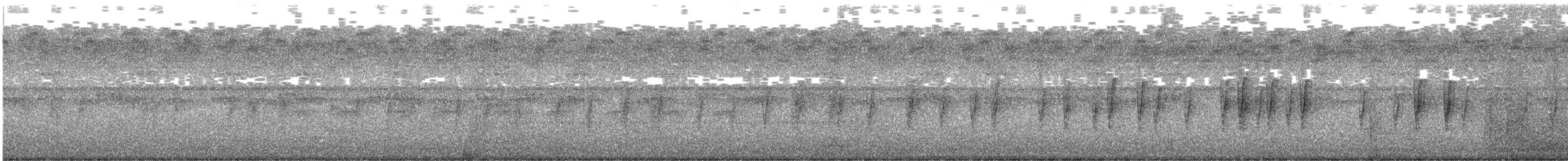 Fichtenkreuzschnabel - ML609265344