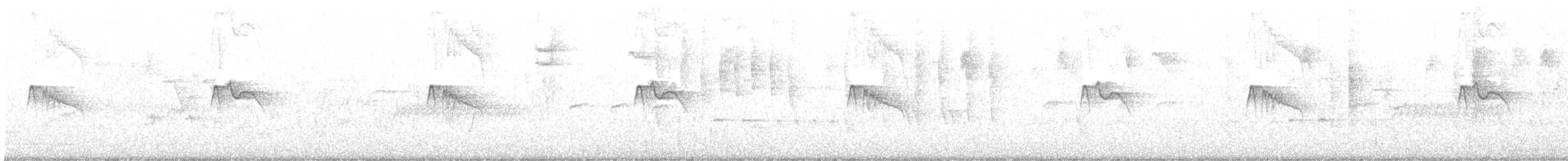 Black Phoebe - ML609266919