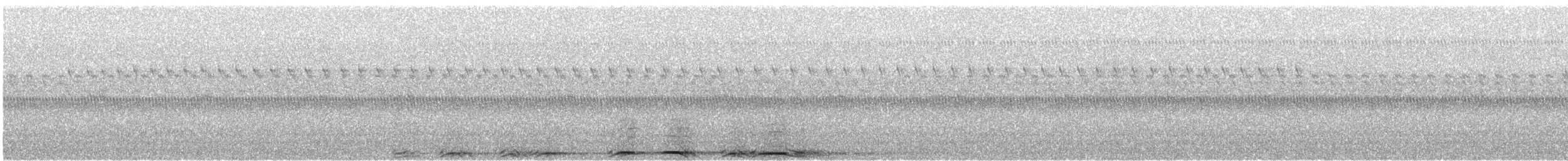 Barred Owl - ML609268424