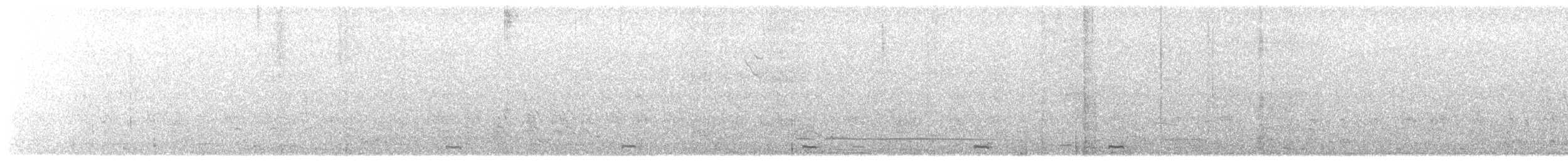 Tinamou à petit bec - ML609269168