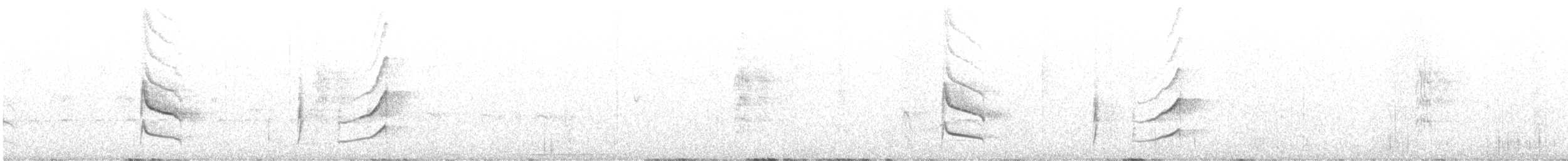 Weißzügel-Dickichtschlüpfer - ML609281071