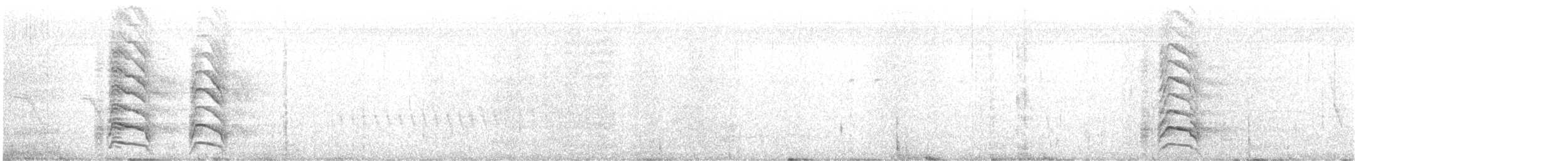 Large-billed Tern - ML609281121