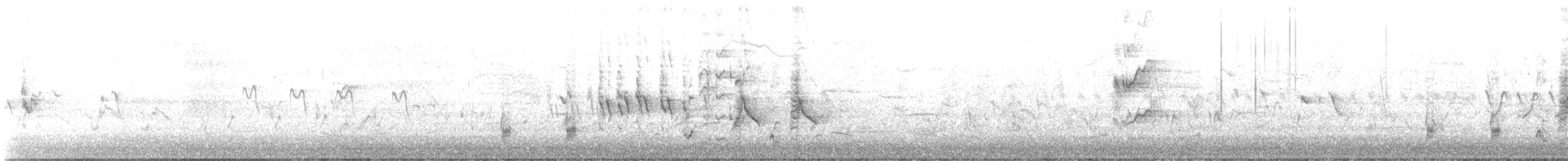 australtrostesanger - ML609282559