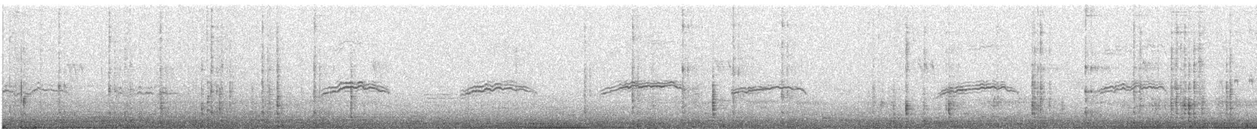 Bare-faced Ground Dove - ML609286906