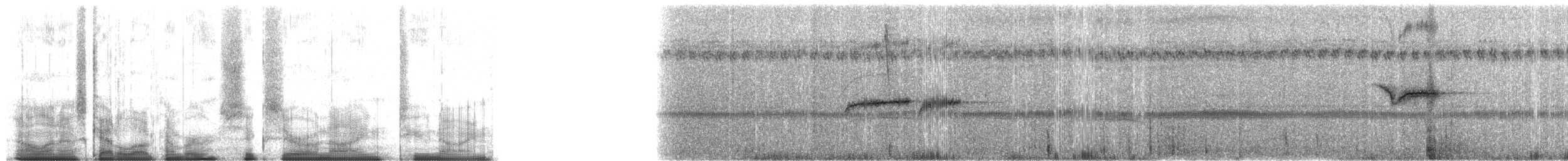 purpurstrupeeufonia - ML60929