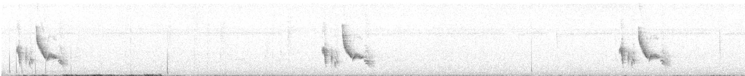 Vireo Ojiblanco (grupo griseus) - ML609291234