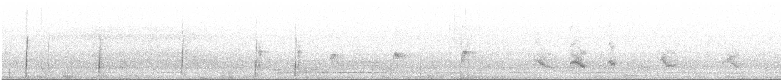 Breitspiegel-Nachtschwalbe - ML609294320