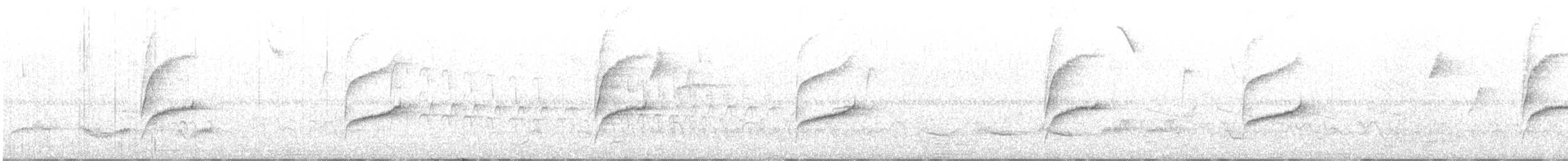 Weißbrauen-Dickichtschlüpfer - ML609296765