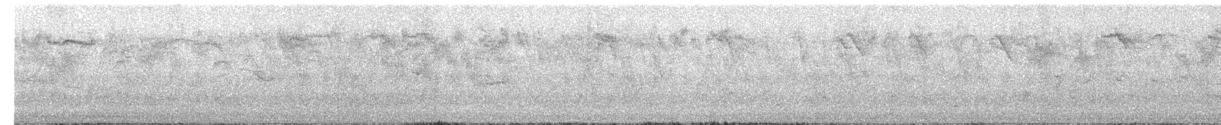 歐洲椋鳥 - ML609297052