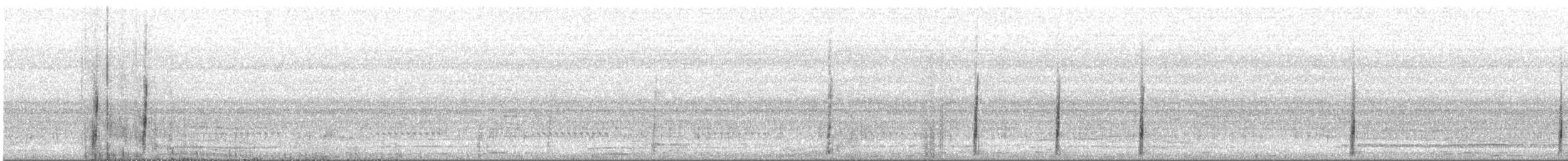 Breitspiegel-Nachtschwalbe - ML609297928