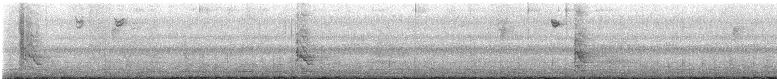 Northern Flicker - ML609301354