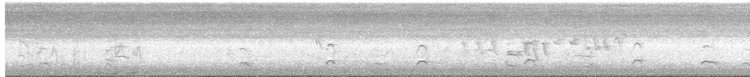 Американская лысуха (Red-shielded) - ML60930471