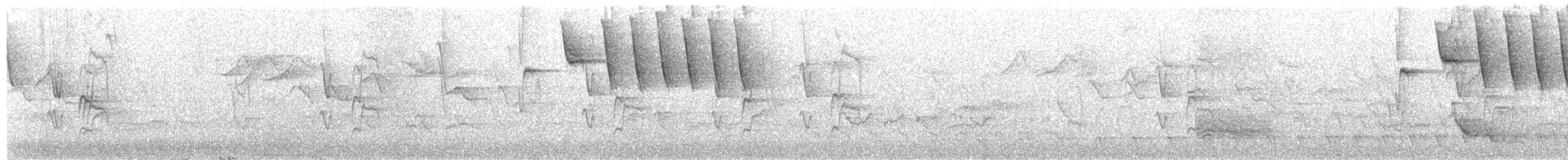 Gelbschnabel-Buschammer - ML609313903