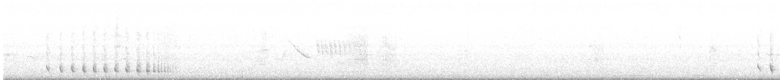 Weißwangen-Dickichtschlüpfer - ML609316764