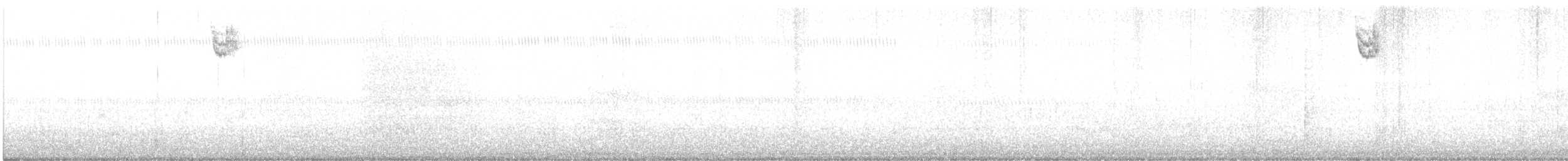 Белогорлая зонотрихия - ML609320612