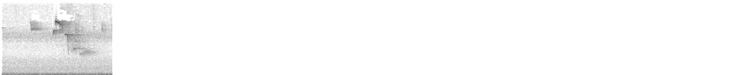 Carolina Chickadee - ML609323450