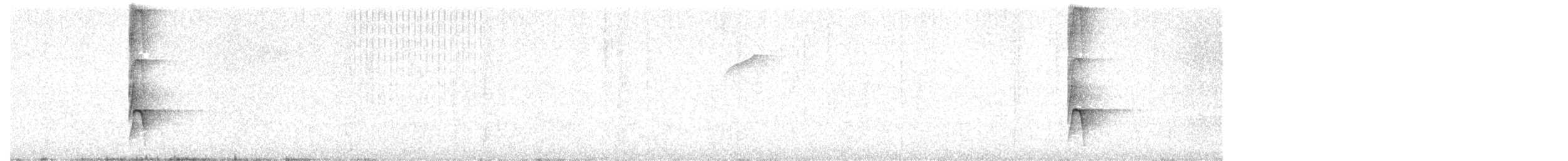 Panamáameisenvogel - ML609323619