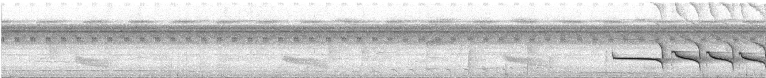 Weißbrust-Ameisenvogel - ML609327637