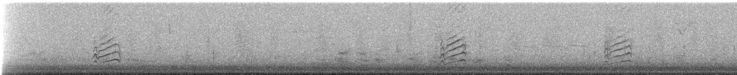 Tohi à queue verte - ML609332905