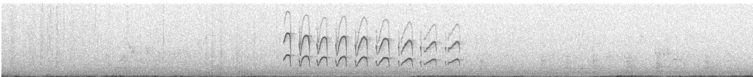 Streifenbauch-Tachurityrann - ML609339352