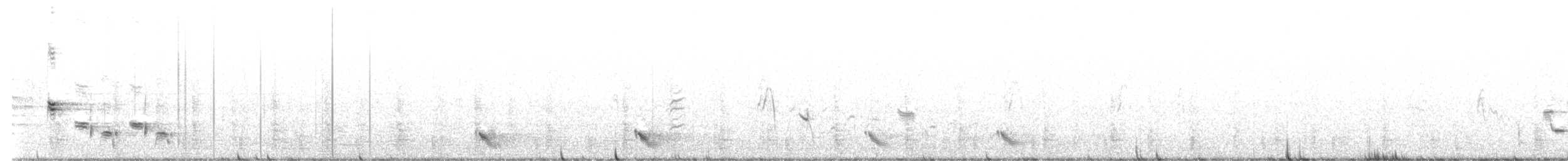 hvitpannehonningeter - ML609341674