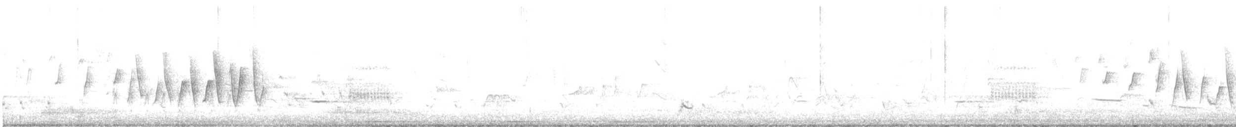 Northern Waterthrush - ML609348787