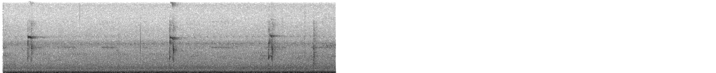 Pic chevelu - ML609350608