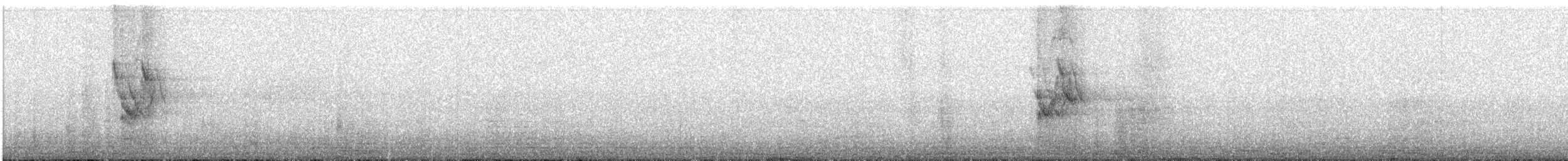 White Wagtail - ML609350692