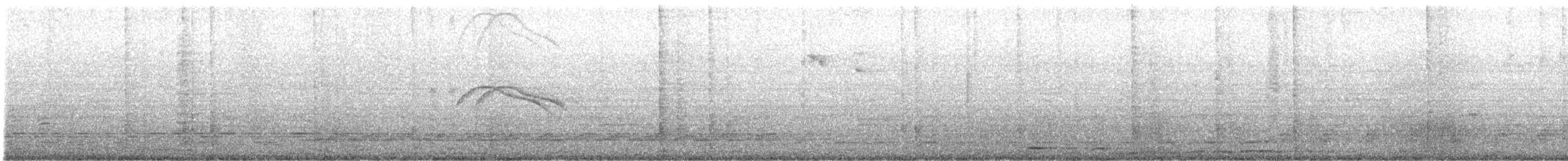 Weißschwanz-Nachtschwalbe - ML609351917
