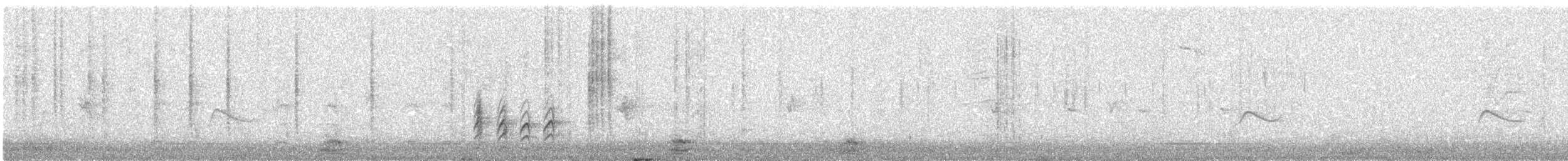 Weißbrustkleiber [lagunae-Gruppe] - ML609352477