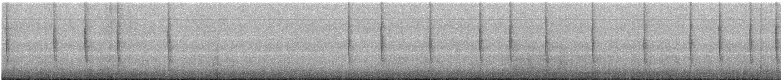 Broad-tailed Hummingbird - ML609352951