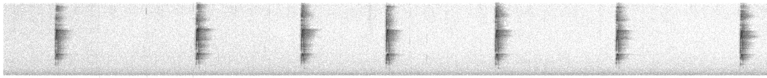 Nuttall's x Ladder-backed Woodpecker (hybrid) - ML60935371