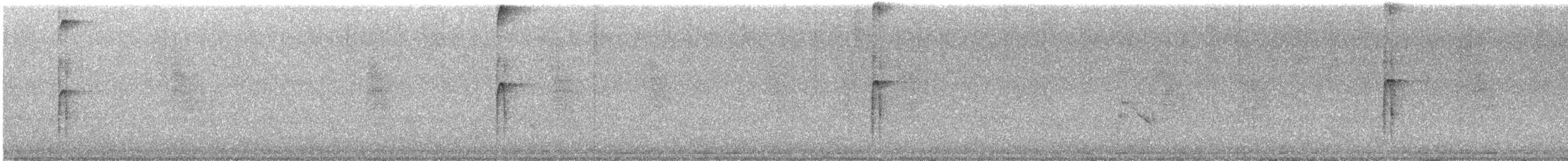 Haarspecht [villosus-Gruppe] - ML609359381