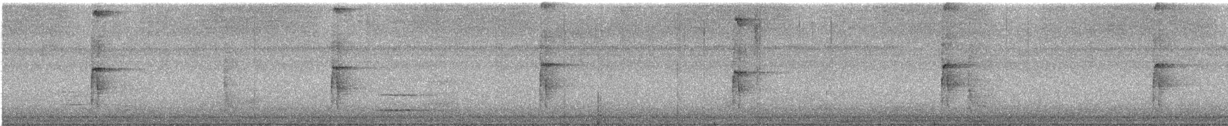 Hairy Woodpecker - ML609359848