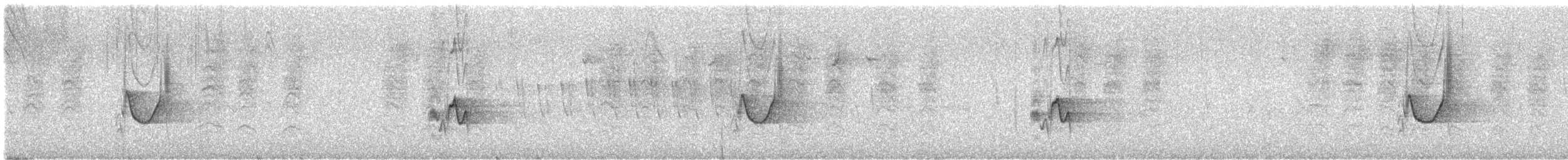 Weißstirnvireo (notius/montanus) - ML609359931