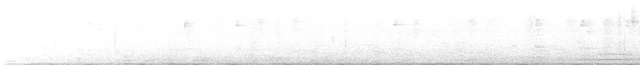 Colibri nain - ML609364337