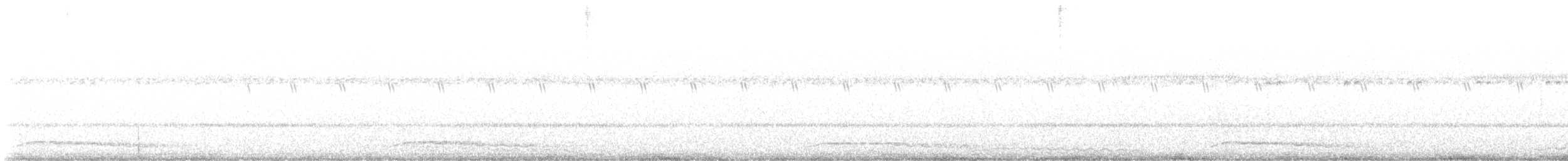 Eastern Screech-Owl - ML609371018