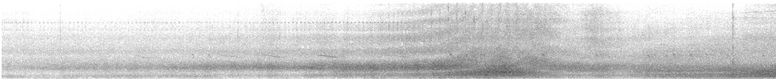 "Шишкар ялиновий (Northeastern, або тип 12)" - ML609371107