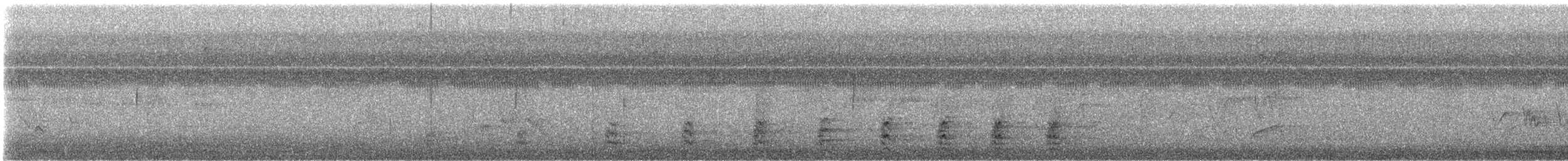 シチメンチョウ - ML609374826