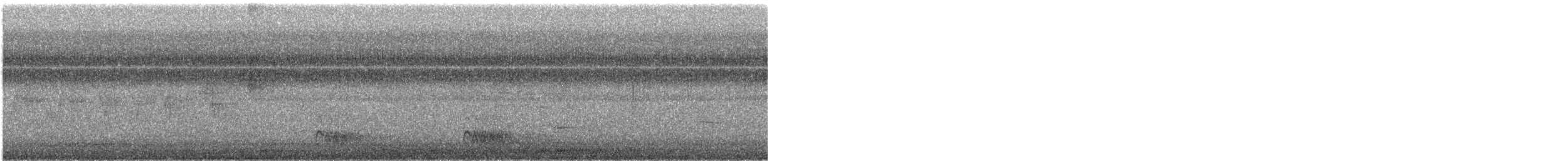 シマセゲラ - ML609374827