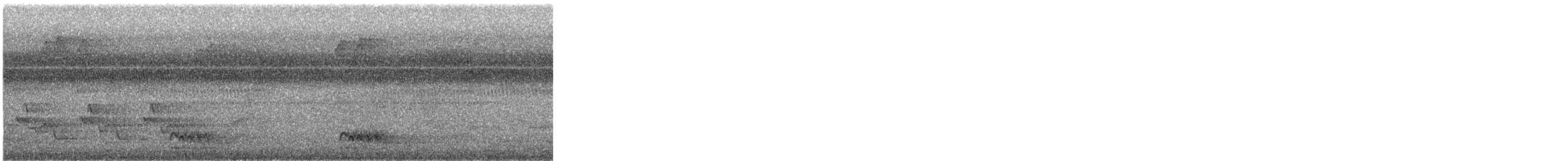 シマセゲラ - ML609374828